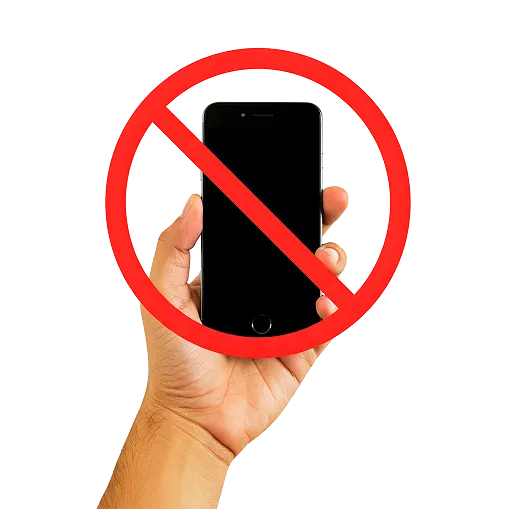 Tisane gingembre citron